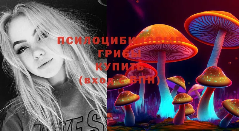 Галлюциногенные грибы Magic Shrooms  как найти закладки  Калач 